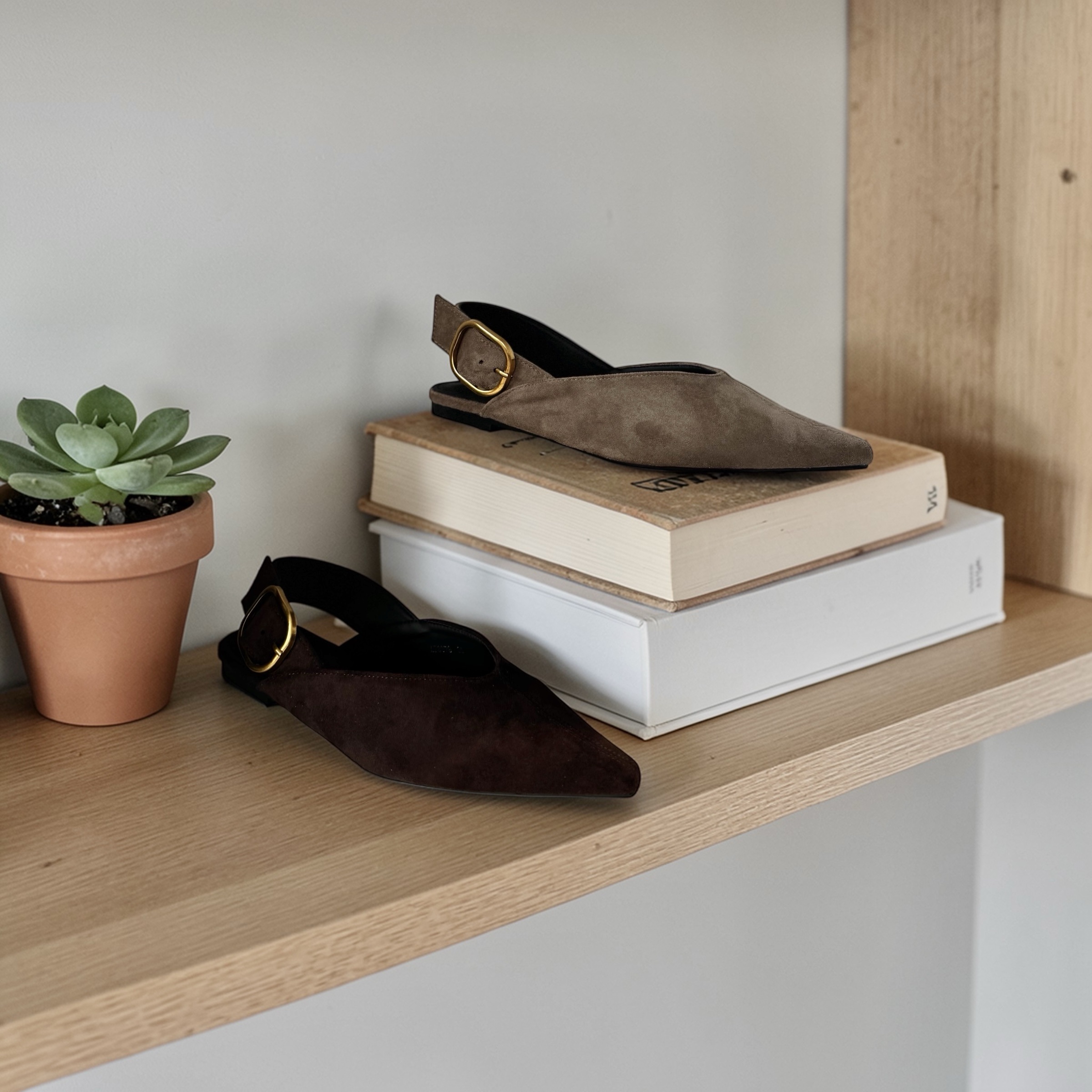 photoroom_20260226_223132